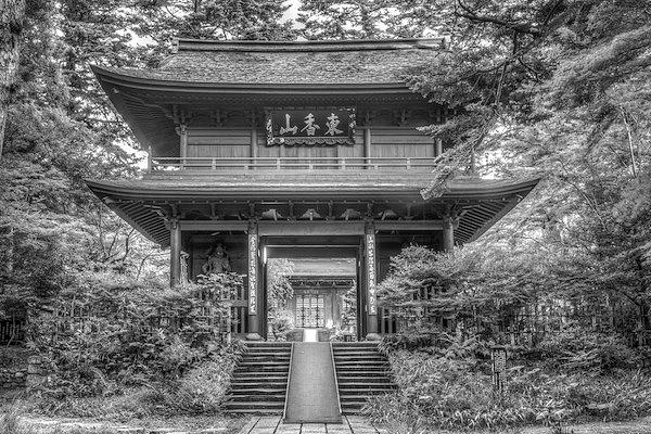 The old temple in the forest black and white