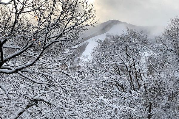The very start of the storm looking pretty spectacular on Madarao Mountain