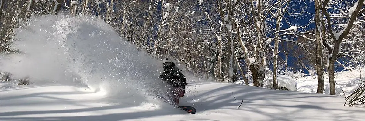 Huge rooster tail snowboarding in the trees in River Run at Madarao Mountain Resort.